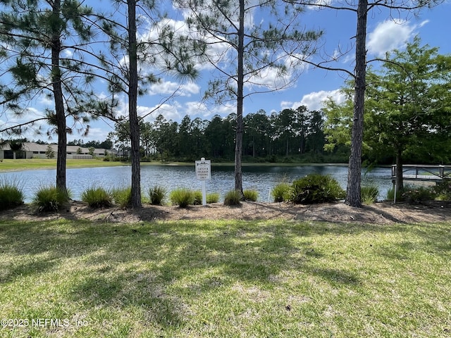 10312 Benson Lake Dr, Jacksonville, FL 32222 - water view