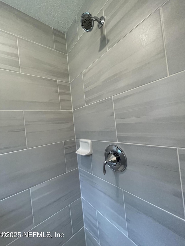 10312 Benson Lake Dr, Jacksonville, FL 32222 - bathroom view of tiled shower