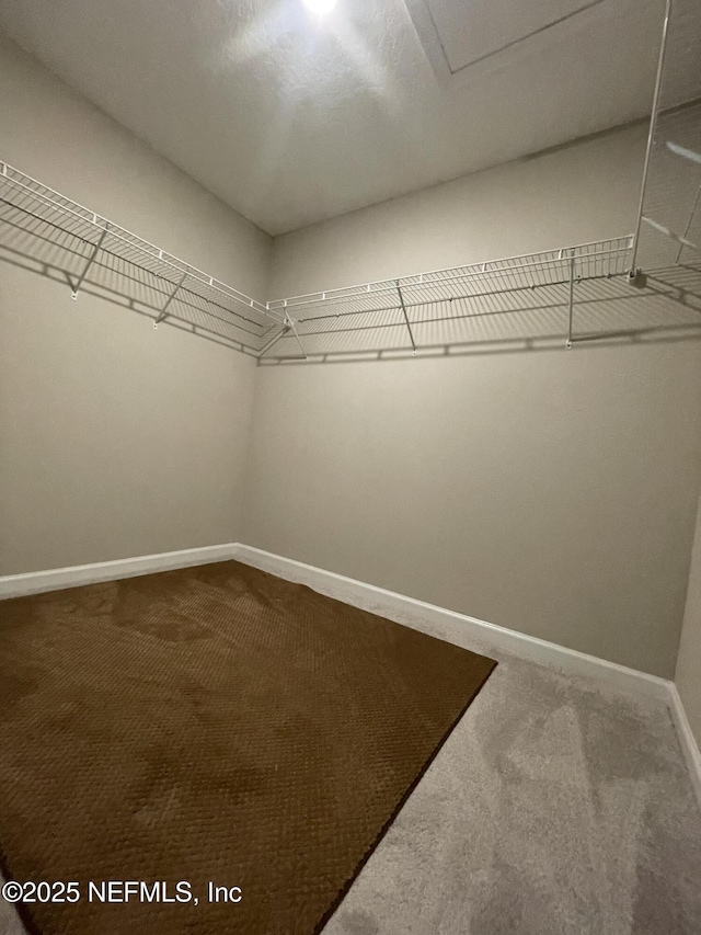 10312 Benson Lake Dr, Jacksonville, FL 32222 - walk in closet featuring carpet floors