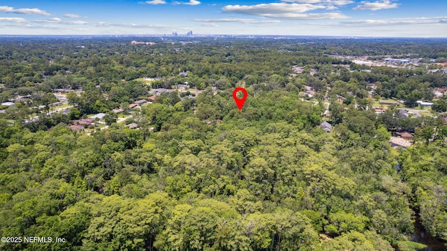 2153 Mills Rd, Jacksonville, FL 32216 - drone / aerial view of a forest