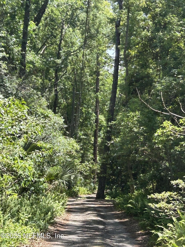 2153 Mills Rd, Jacksonville, FL 32216 - view of road featuring a wooded view