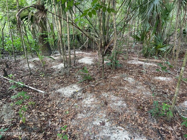 2153 Mills Rd, Jacksonville, FL 32216 - photo 71