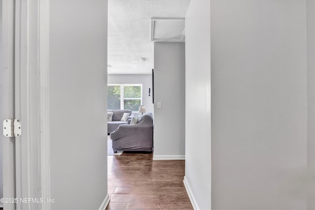 8390 Scottish Ct, Jacksonville, FL 32244 - corridor featuring attic access, wood finished floors, and baseboards