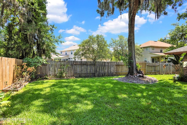 3111 Old Port Cir E, Jacksonville, FL 32216 - view of yard