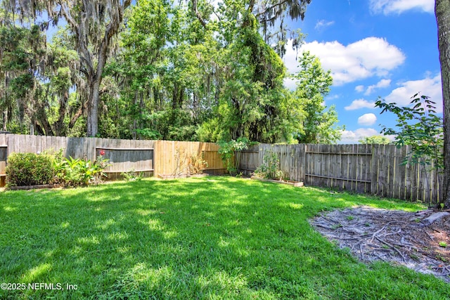 3111 Old Port Cir E, Jacksonville, FL 32216 - view of yard