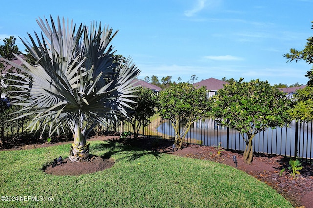 45 Lantern Post Way, Ponte Vedra, FL 32081 - view of yard