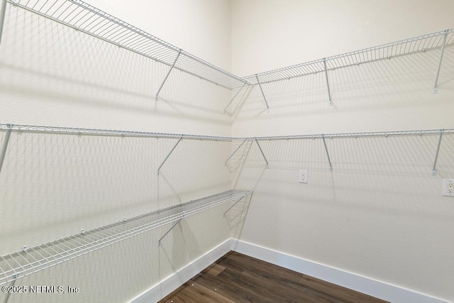 2605 Spreading Oaks Ln, Jacksonville, FL 32223 - walk in closet featuring dark wood-type flooring