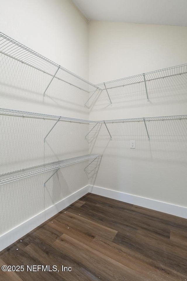 2605 Spreading Oaks Ln, Jacksonville, FL 32223 - spacious closet featuring dark wood finished floors