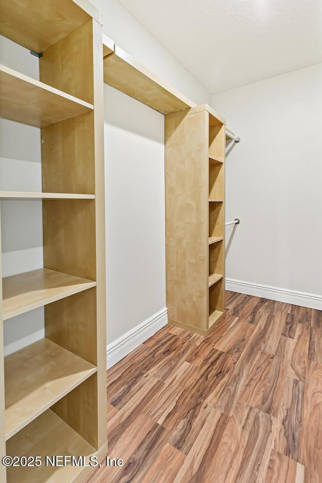 2605 Spreading Oaks Ln, Jacksonville, FL 32223 - walk in closet featuring wood finished floors