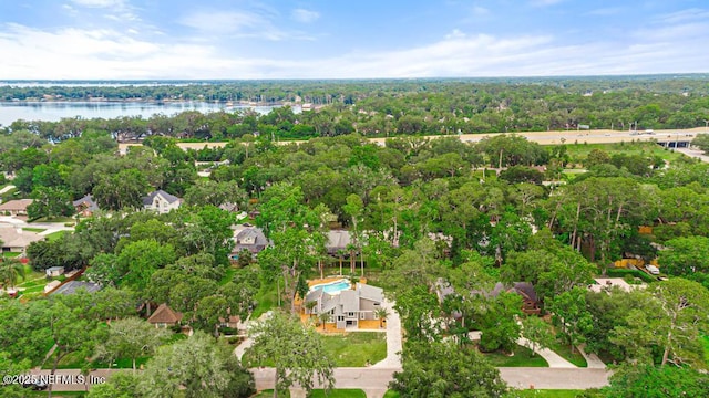 2605 Spreading Oaks Ln, Jacksonville, FL 32223 - bird's eye view of a large body of water and a tree filled landscape