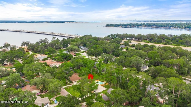 2605 Spreading Oaks Ln, Jacksonville, FL 32223 - aerial view of residential area featuring a large body of water and a tree filled landscape