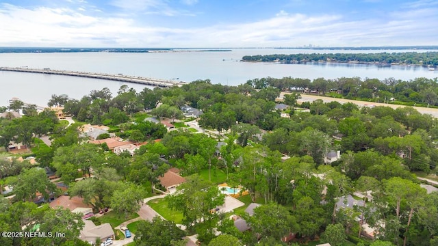 2605 Spreading Oaks Ln, Jacksonville, FL 32223 - aerial view of residential area with a nearby body of water, a tree filled landscape, and a notable bridge