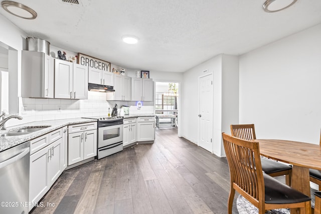 918 Arkenstone Dr, Jacksonville, FL 32225 - kitchen featuring stainless steel appliances, a sink, dark wood-style floors, under cabinet range hood, and light stone counters