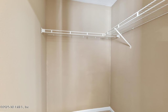 7990 Baymeadows Rd E Unit 2006, Jacksonville, FL 32256 - view of spacious closet
