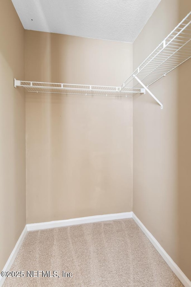 7990 Baymeadows Rd E Unit 2006, Jacksonville, FL 32256 - walk in closet featuring carpet floors