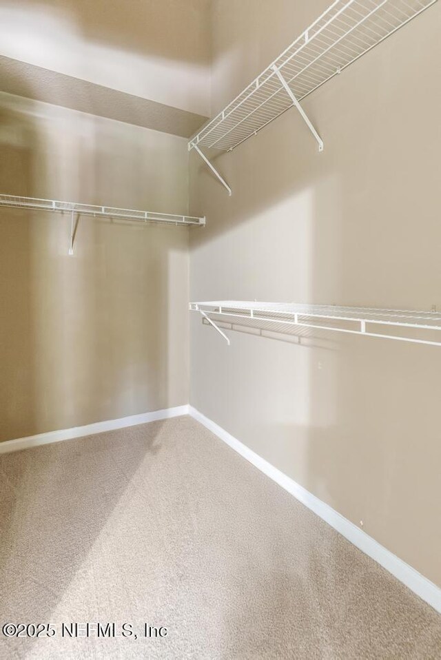 7990 Baymeadows Rd E Unit 2006, Jacksonville, FL 32256 - walk in closet with carpet floors