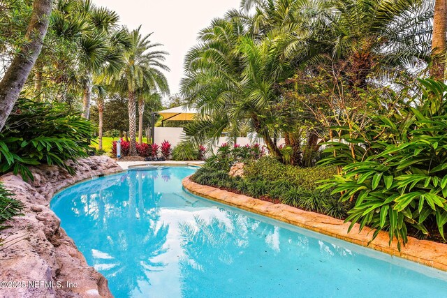 71 Deer Ridge Dr, Ponte Vedra, FL 32081 - view of swimming pool