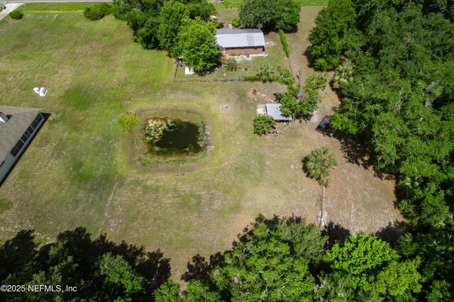 168 Bardin Rd, Palatka, FL 32177 - photo 25