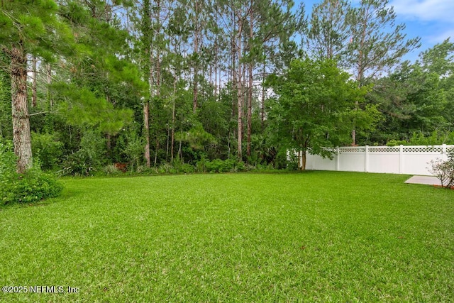 112 Glenlivet Way, Saint Johns, FL 32259 - view of yard