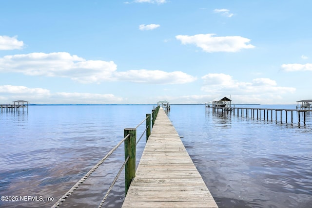 145 River Rd, Orange Park, FL 32073 - dock with a water view