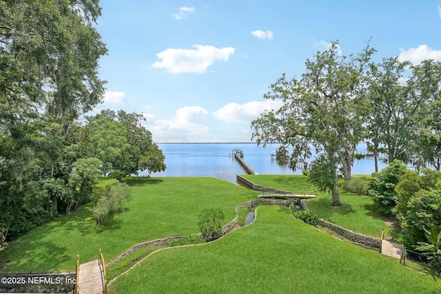 145 River Rd, Orange Park, FL 32073 - view of grassy yard with a water view