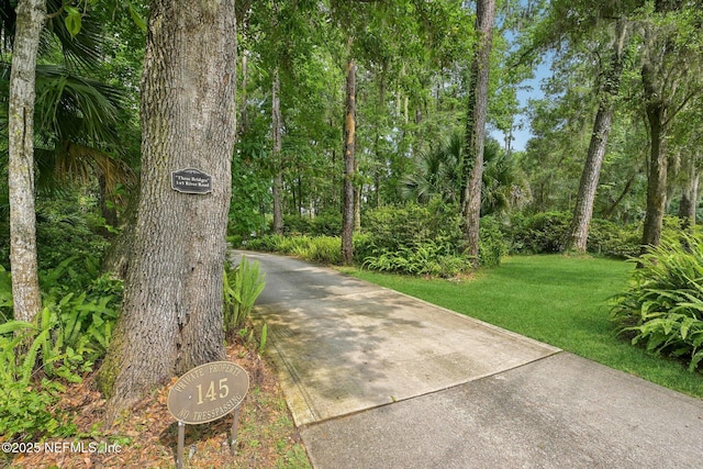 145 River Rd, Orange Park, FL 32073 - view of road