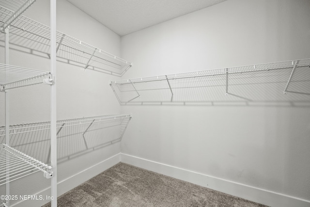 85 Park Center Ave, Ponte Vedra, FL 32081 - spacious closet featuring carpet