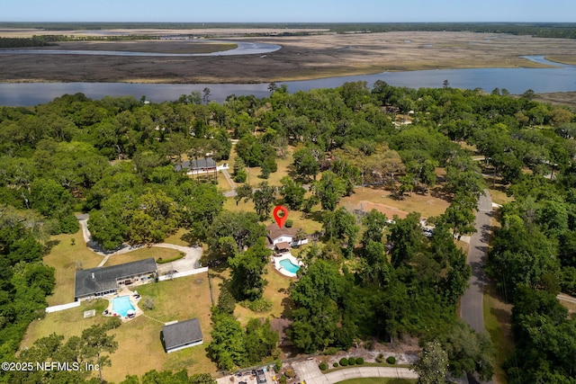 17459 Eagle Bend Blvd, Jacksonville, FL 32226 - aerial view of property's location with a nearby body of water and a pool