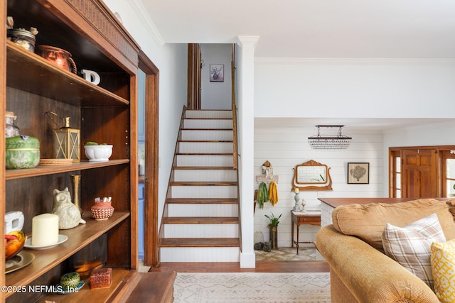 17459 Eagle Bend Blvd, Jacksonville, FL 32226 - stairs featuring ornamental molding and wood finished floors
