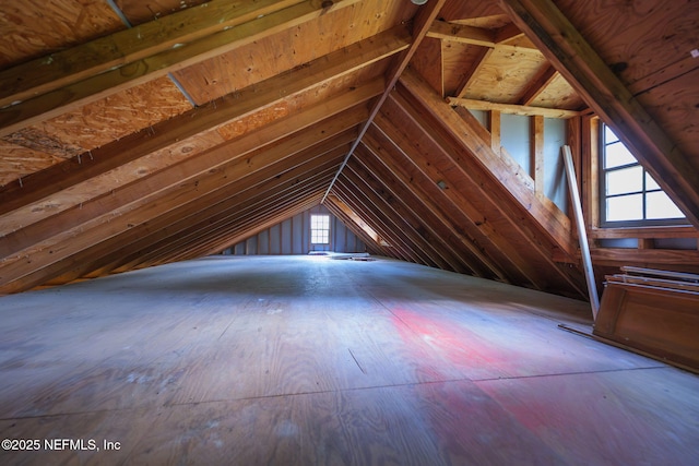 17459 Eagle Bend Blvd, Jacksonville, FL 32226 - attic featuring healthy amount of natural light