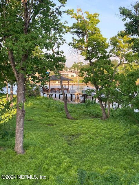 5615 San Juan Ave Unit 310, Jacksonville, FL 32210 - view of green lawn