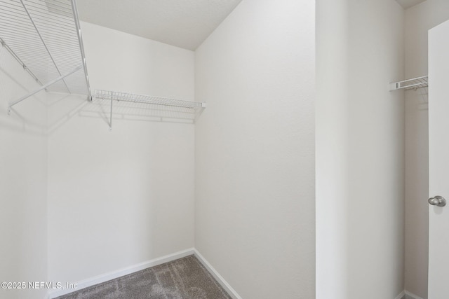 96 Cody St, Saint Augustine, FL 32084 - walk in closet with carpet