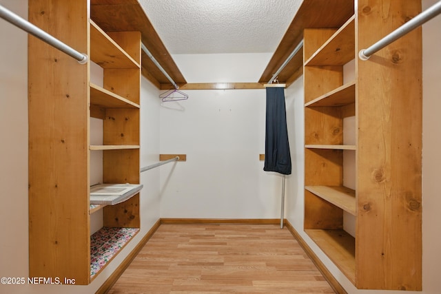 2708 Poinsettia Ave, Middleburg, FL 32068 - walk in closet featuring light wood-type flooring