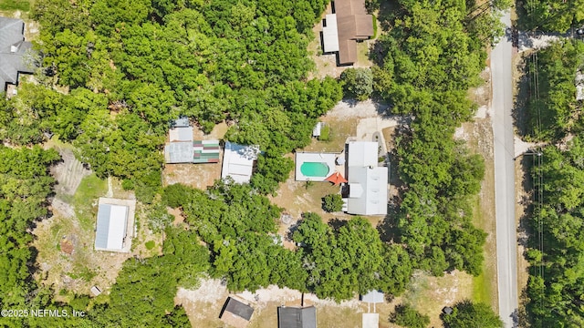 2708 Poinsettia Ave, Middleburg, FL 32068 - aerial view