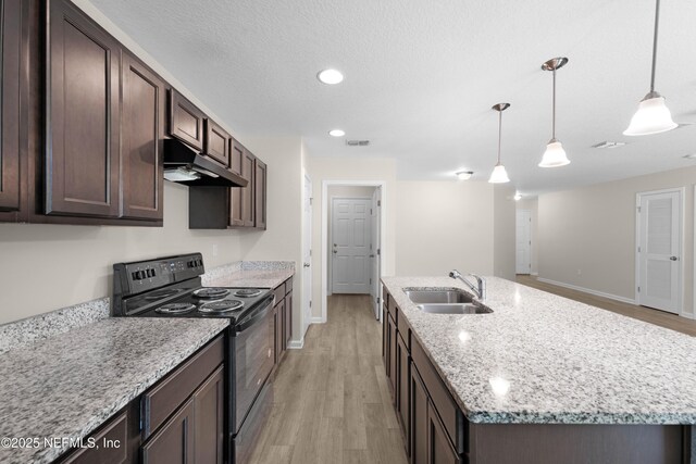 7529 Hare Ave, Jacksonville, FL 32211 - kitchen with black range with electric stovetop, under cabinet range hood, a sink, dark brown cabinetry, and light wood-type flooring