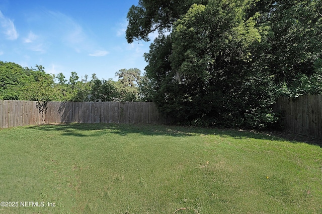 7529 Hare Ave, Jacksonville, FL 32211 - view of yard