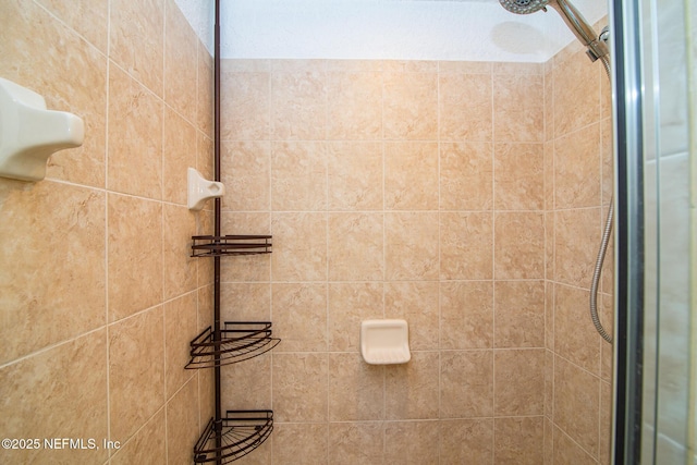 8539 W Gate Pkwy Unit 424, Jacksonville, FL 32216 - bathroom view of a tile shower