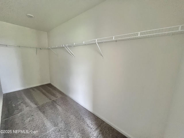 346 Boulder Ln, Saint Johns, FL 32259 - photo 6