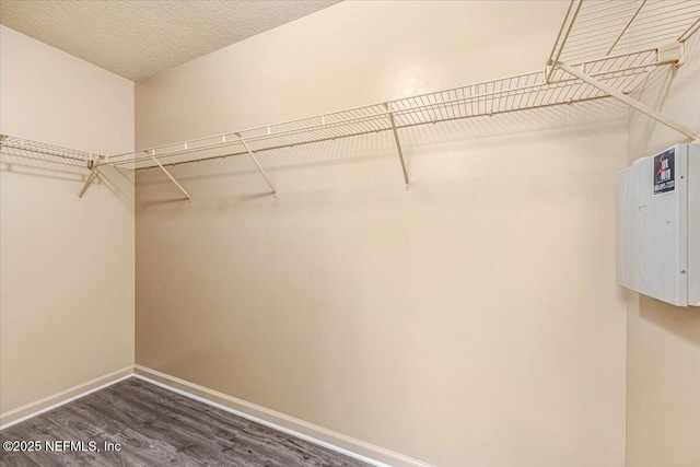 1456 Loblolly Ct, Orange Park, FL 32073 - photo 15