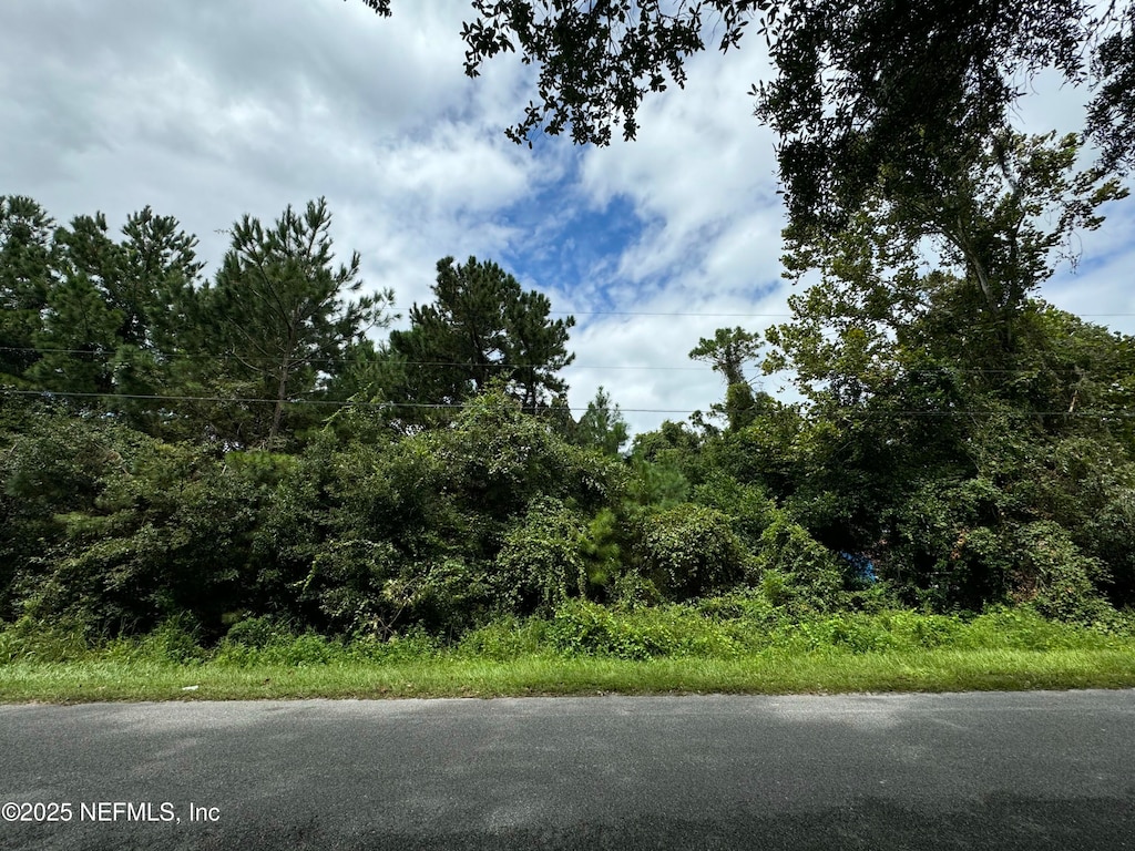 N/A Philips Manor Rd, Fernandina Beach, FL 32034
