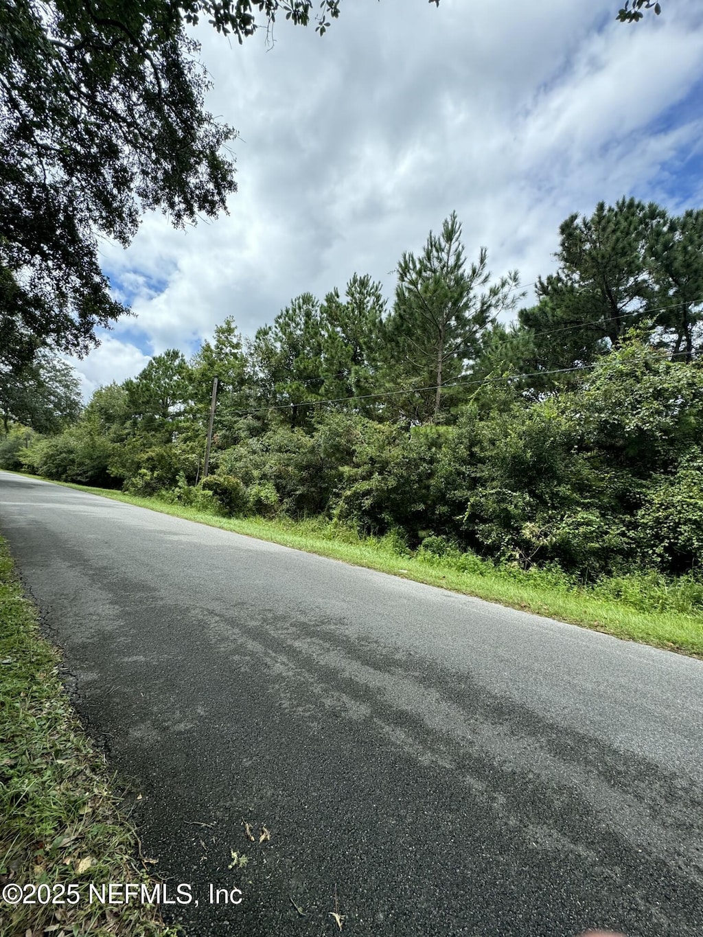 N/A Philips Manor Rd, Fernandina Beach, FL 32034