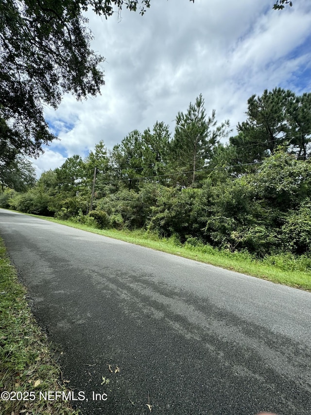 N/A Philips Manor Rd, Fernandina Beach, FL 32034