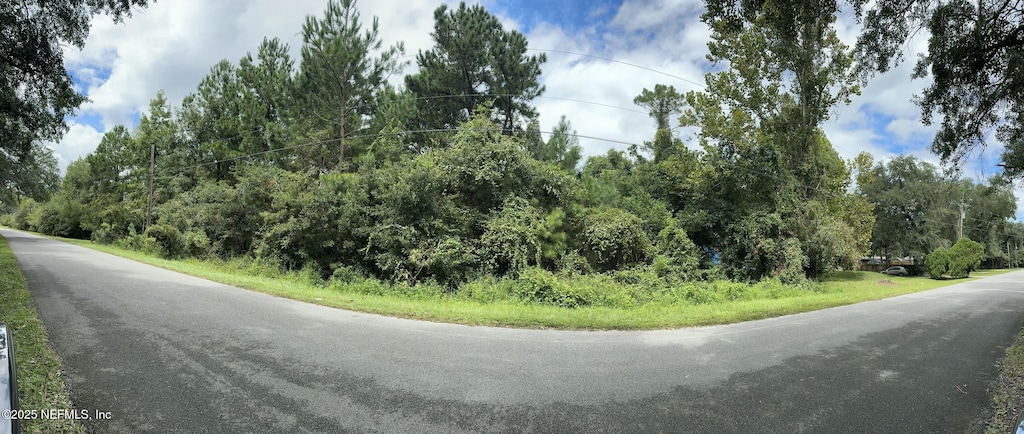 N/A Philips Manor Rd, Fernandina Beach, FL 32034