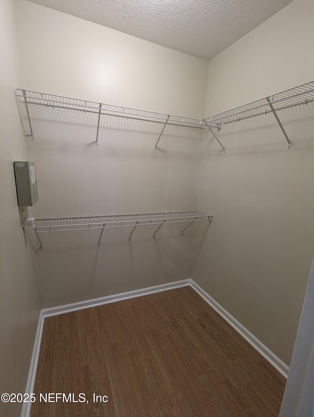 12301 Kernan Forest Blvd Unit 508, Jacksonville, FL 32225 - walk in closet featuring wood finished floors
