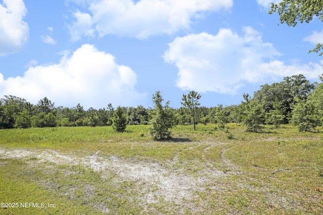 3784 Charles Green Rd, Hilliard, FL 32046 - view of woods