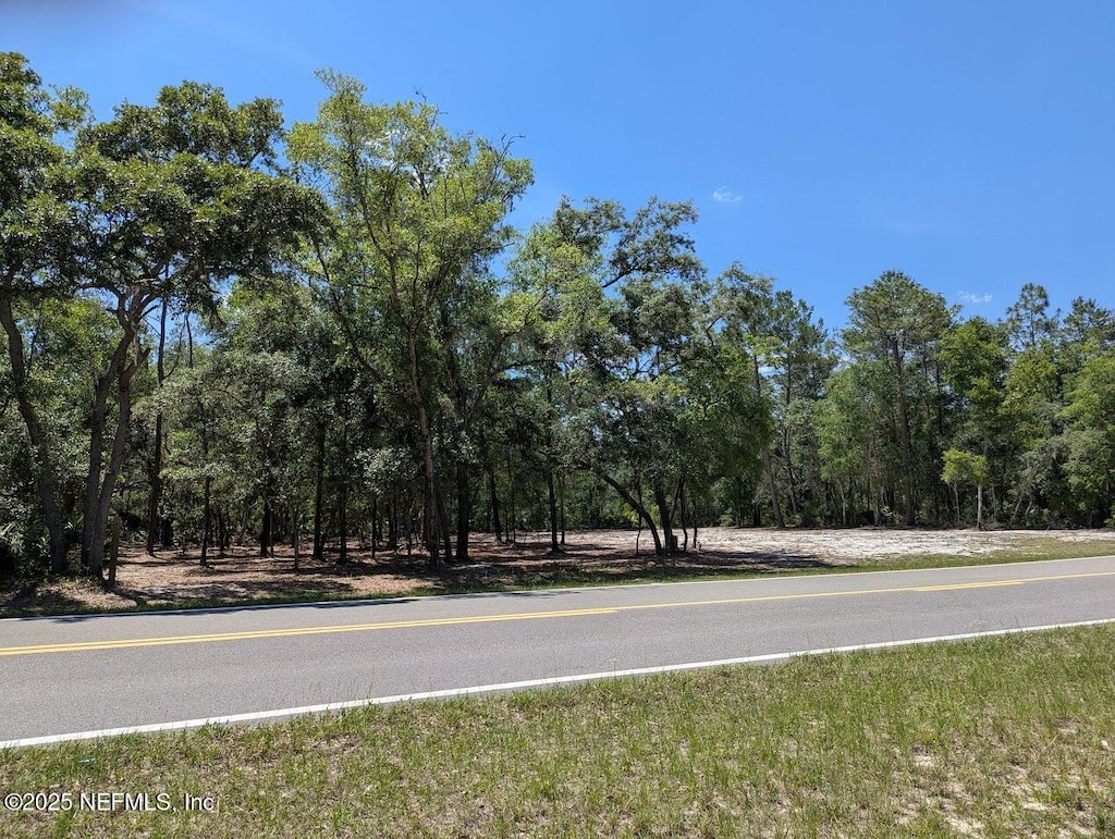 705 Theresa Ave, Interlachen, FL 32148