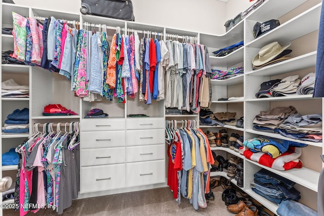 191 Silver Sage Ln, Saint Augustine, FL 32095 - walk in closet featuring carpet flooring