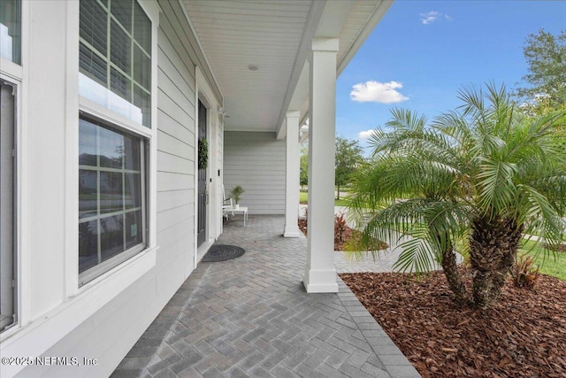 203 Westcott Pkwy, Saint Augustine, FL 32095 - photo 4