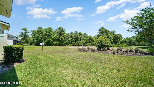 18 Amistad Dr, Saint Augustine, FL 32086 - view of grassy yard
