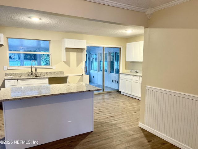3527 Sheldon Rd, Orange Park, FL 32073 - kitchen with a sink, radiator, white cabinets, wood finished floors, and crown molding